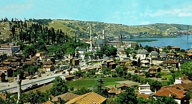 Eyüpsultan'da Leylekler