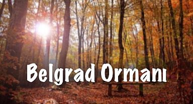 Belgrad Ormanı nerede, hangi ilçede? Belgrad Ormanına nasıl gidilir?
