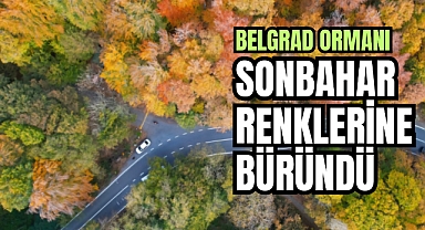 Belgrad Ormanı'nda Sonbaharın Büyüleyici Renkleri