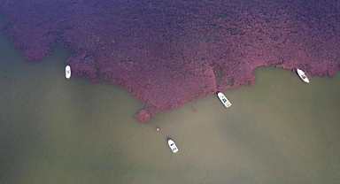 Terkos Gölü'nde görsel şölen