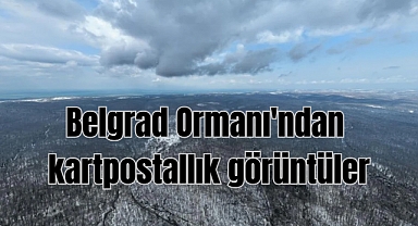 Belgrad Ormanı'ndan kartpostallık görüntüler