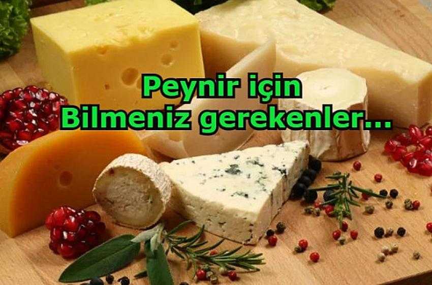 Buzdolabınızda bekleyen peynirlerin küflenmesi nasıl önlenir? - Eyüpsultan Haber