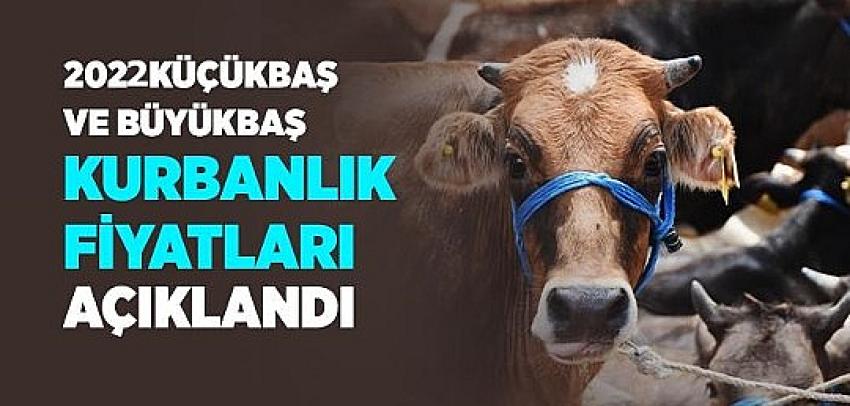 İl İl Kurbanlık Fiyatları Açıklandı! İşte Küçükbaş Ve Büyükbaş Kurbanlık Fiyatları | Eyüpsultan Haber