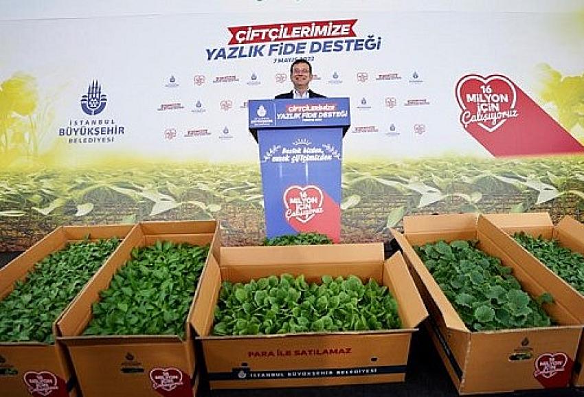 İBB, Kemerburgaz'da çiftçilere yazlık sebze fidesi dağıttı | Eyüpsultan Haber