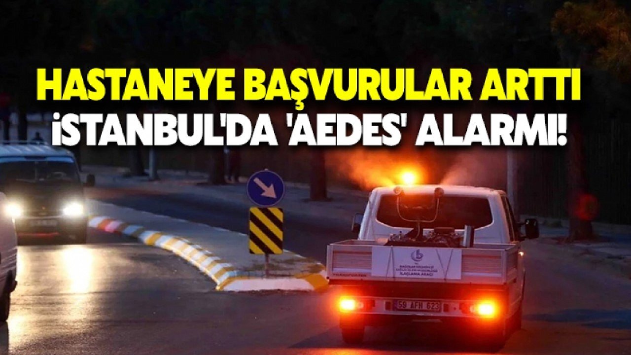 Dikkat! Hastanelik ediyor, İstanbul'da 'Aedes' alarmı verildi