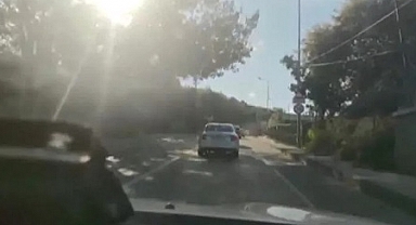 Eyüpsultan’da kobra yılanı zehri yakalandı