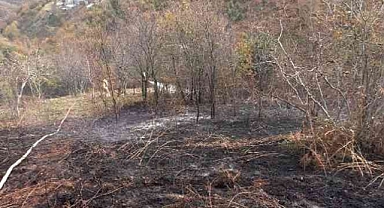 Eyüpsultan'da yangın. Lodosun etkisiyle kısa sürede büyüdü