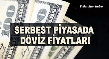 Serbest piyasada döviz fiyatları son durum