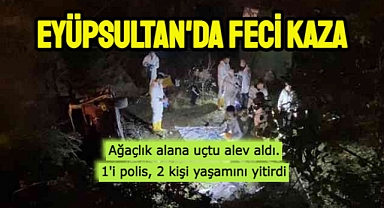 Trafik kazası! uçuruma düştü alev aldı, 2 kişi öldü