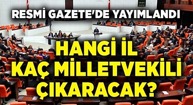Hangi il kaç vekil çıkaracak? YSK açıkladı Resmi Gazetede yayınlandı
