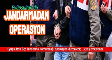 JANDARMA'DAN KAÇAK SİLAH OPERASYONU