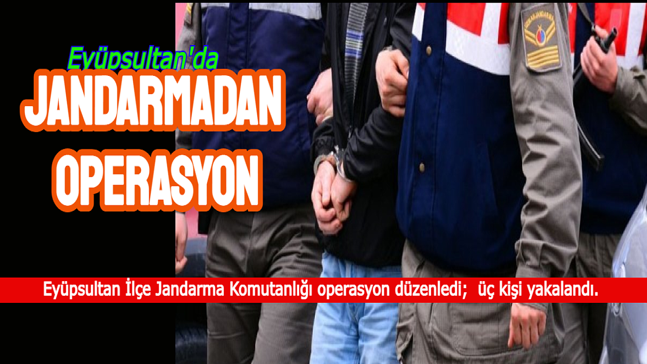 JANDARMA'DAN KAÇAK SİLAH OPERASYONU