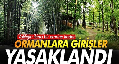 İstanbul'da Ormanlara Girişler Yasaklandı
