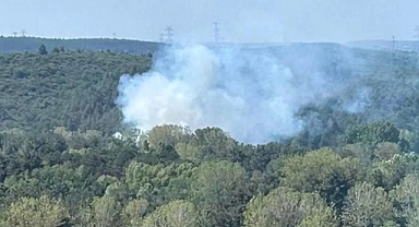 Eyüpsultan'da Hasdal ve Kemerburgaz'da Yangın Çıktı
