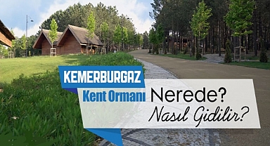 Kemerburgaz Kent Ormanı Nerede? Kemerburgaz Kent Ormanı’na Nasıl Gidilir? Kemerburgaz Kent Ormanı Hangi İlçede?