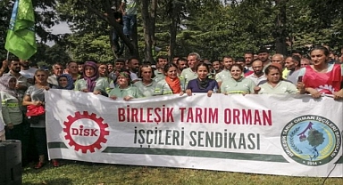 Ağaç A.Ş. işçileri İBB önünde eylem yaptı
