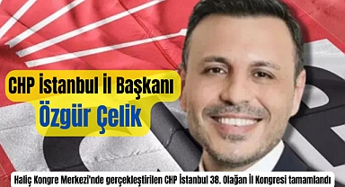 CHP İstanbul İl Başkanı Özgür Çelik oldu