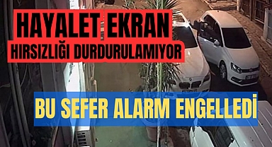 Hayalet gösterge hırsızlığı, Alarm Sesine Kaçtılar