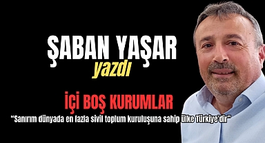 İçi boş kurumlar