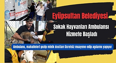 ‘Sokak Hayvanları Ambulansı’ Hizmete Başladı