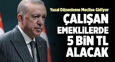 Cumhurbaşkanı Erdoğan'dan çalışan emekliye ikramiye talimatı