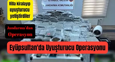 Villa kiralayıp uyuşturucu yetiştirdiler.! Jandarma’dan Operasyon