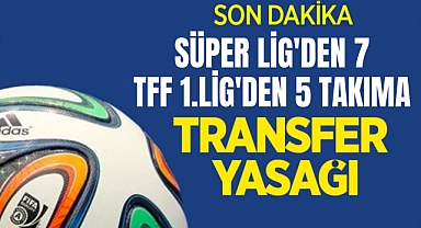 FIFA'dan 1.Lig ekiplerine transfer yasağı geldi