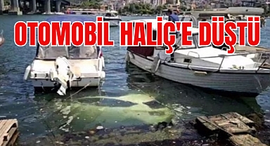 Aracı park edemedi, denize düşürdü