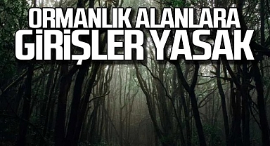  İstanbul'da ormanlara girişler 15 Ekim'e kadar yasaklandı