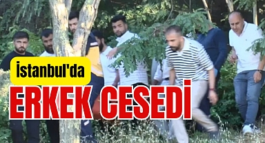 İstanbul'da TEM kenarında ceset bulundu