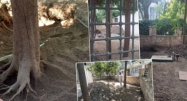 İstanbul'da güpegündüz define kazısı