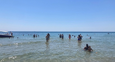 Marmara Denizi'nde müsilaj tehlikesi! Uzman isim uyardı: Su sıcaklığı 2,5 derece arttı