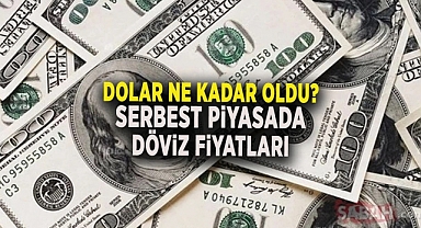 Serbest piyasada dolar ve euro düşüşte