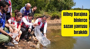 Alibey Barajına binlerce sazan yavrusu bırakıldı