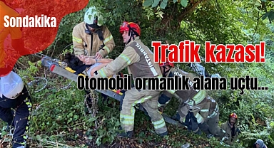 Eyüpsultan'da trafik kazası! otomobil ormanlık alana uçtu: Yaralılar var