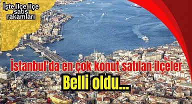 İstanbul'da en çok konut satılan ilçeler belli oldu! İşte ilçe ilçe satış rakamları