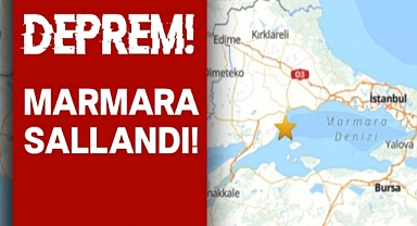 Sondakika AFAD duyurdu: Marmara Denizi'nde deprem