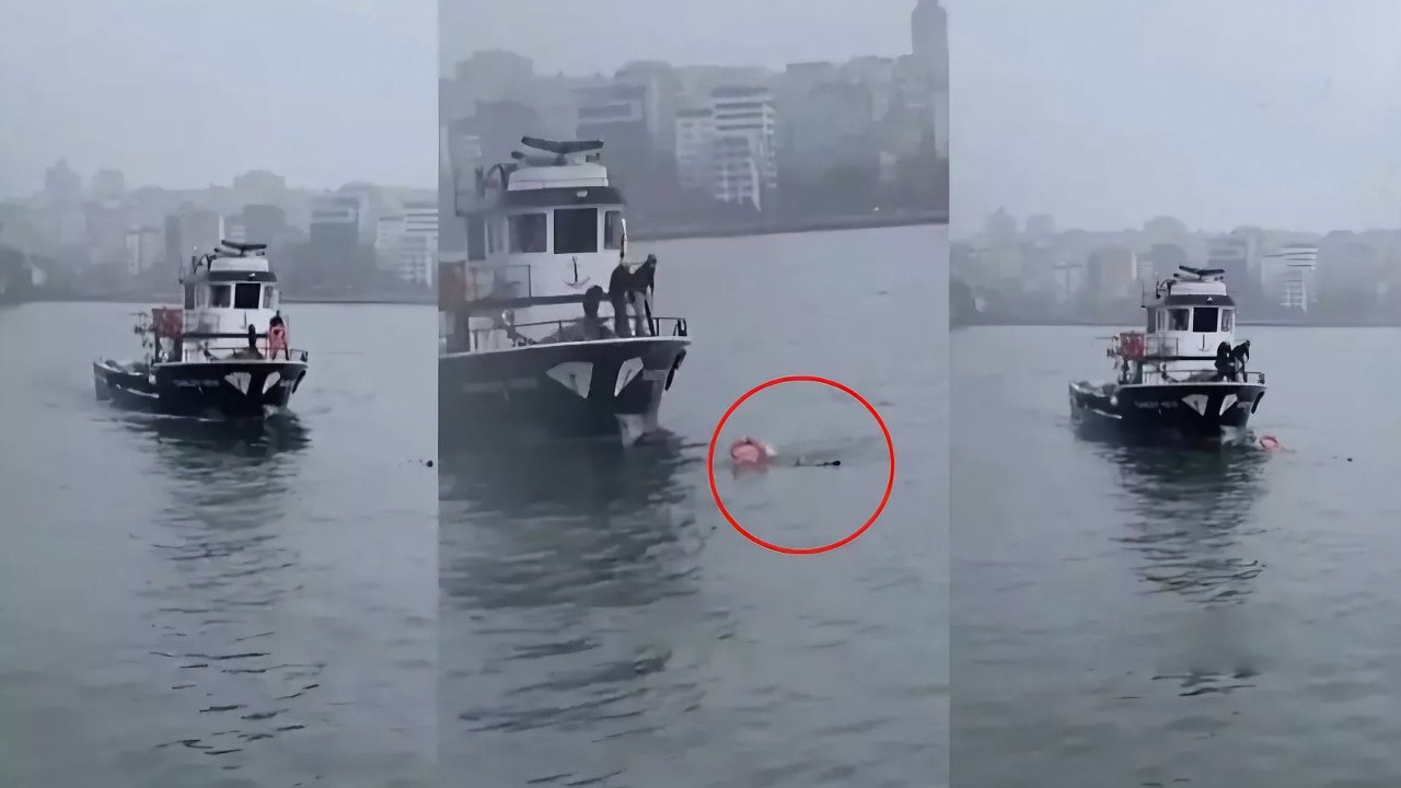 Haliç'de hareketli anlar: Denize düşen kadın boğulmaktan son anda kurtuldu