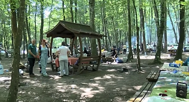 Bayramı İstanbul'da geçirenler Belgrad Ormanı'na akın etti