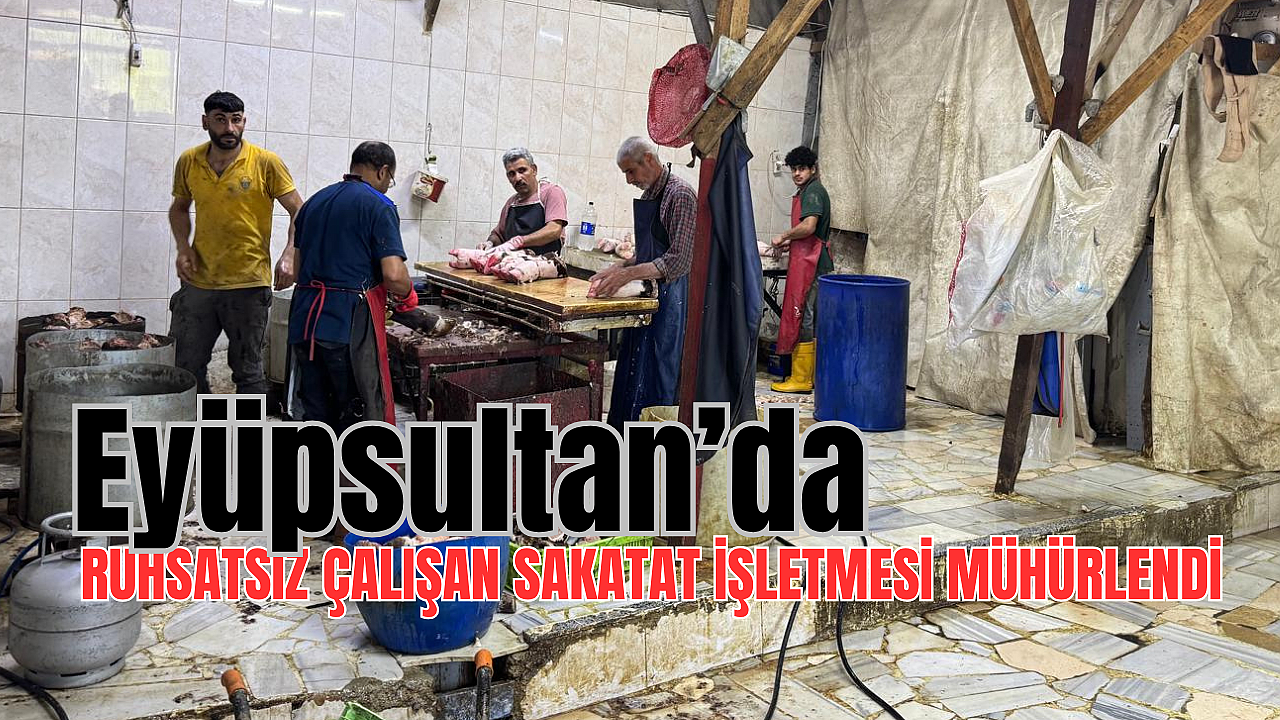 Eyüpsultan’da ruhsatsız çalışan sakatat işletmesi mühürlendi