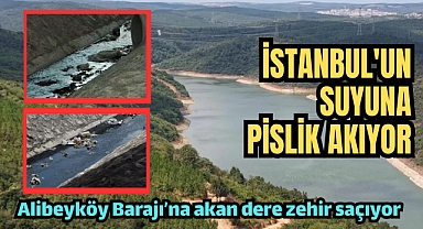 Alibeyköy Barajı'na akan dere zehir saçıyor