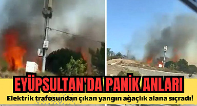 Eyüpsultan'da panik anları: Elektrik trafosundan çıkan yangın ağaçlık alana sıçradı!