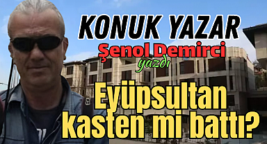 Eyüpsultan kasten mi battı? Şenol Demirci, yazdı
