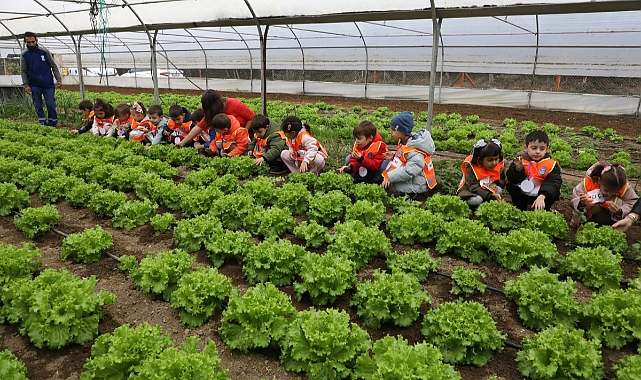 Eyüpsultan'lı minikler doğayla iç içe yetişiyor