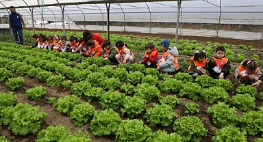 Eyüpsultan'lı minikler doğayla iç içe yetişiyor