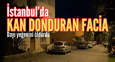 İstanbul'da kan donduran facia: Dayı, yeğenini öldürdü