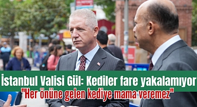 İstanbul Valisi Davut Gül 
