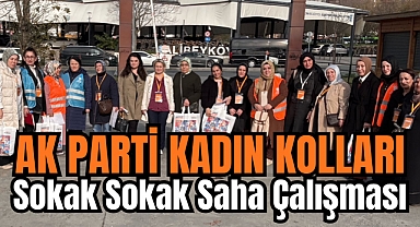 Ak Parti Kadın Kolları’ndan Alibeyköy’de Sokak Sokak Saha Çalışması