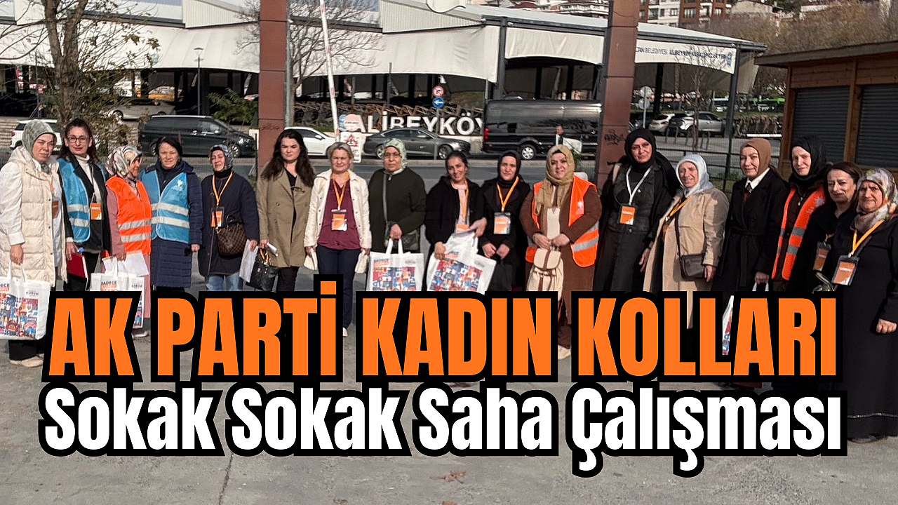 Ak Parti Kadın Kolları’ndan Alibeyköy’de Sokak Sokak Saha Çalışması