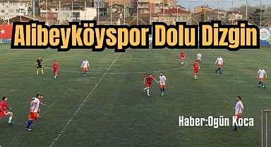 Alibeyköyspor Dolu Dizgin